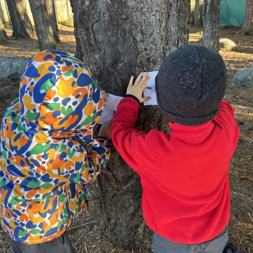 Activite1 IMG 1338 scaled e1705343109499 500x500