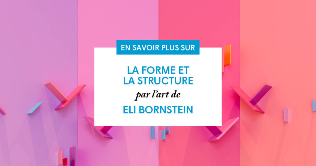 guide pedagogique Eli Bornstein couverture medias sociaux