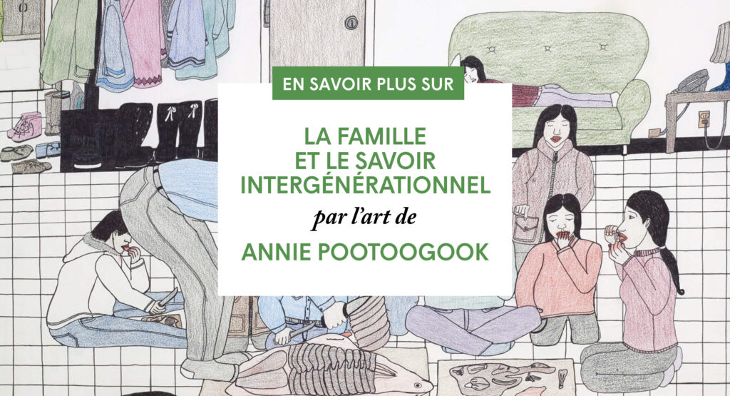 guide pedagogique annie pootoogook couverture medias sociaux