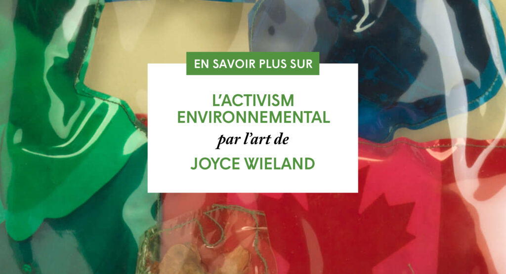 guide pedagogique joyce wieland couverture medias sociaux